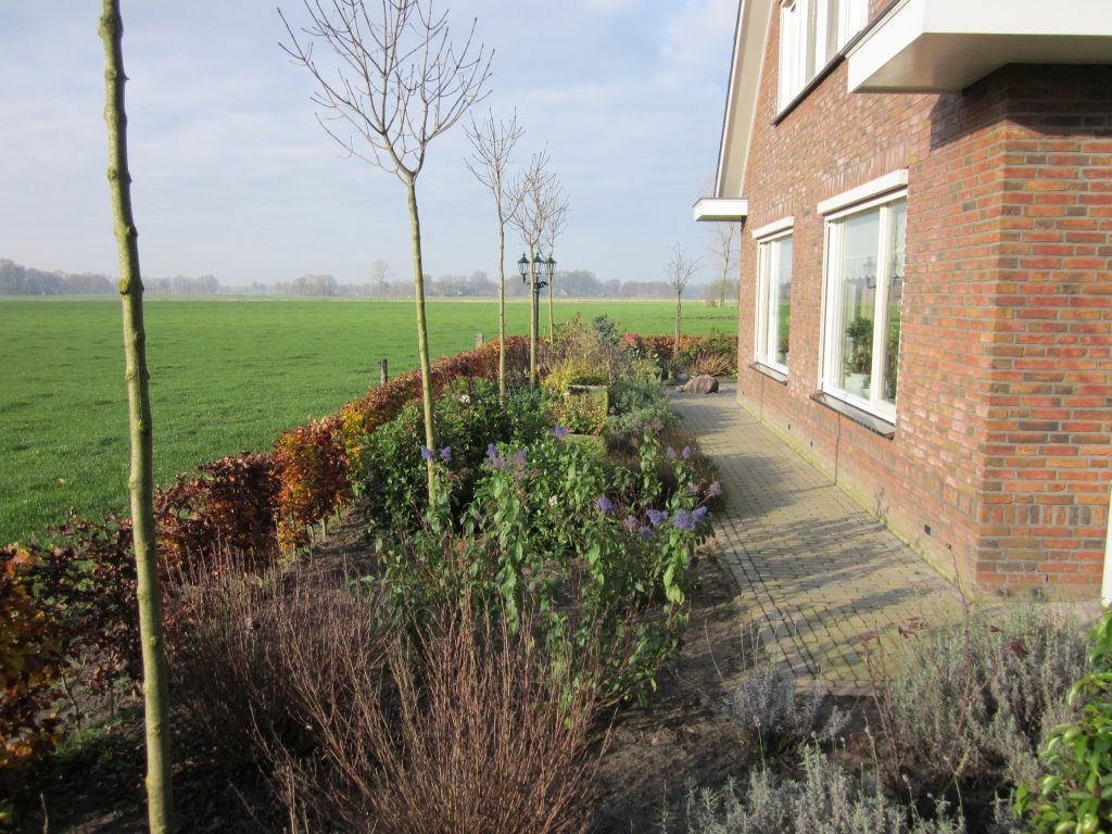 Ontwerp en aanleg