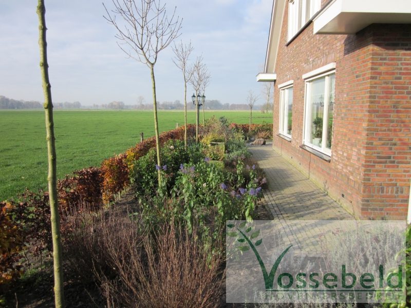 Nieuwe beplanting langs de gevel
